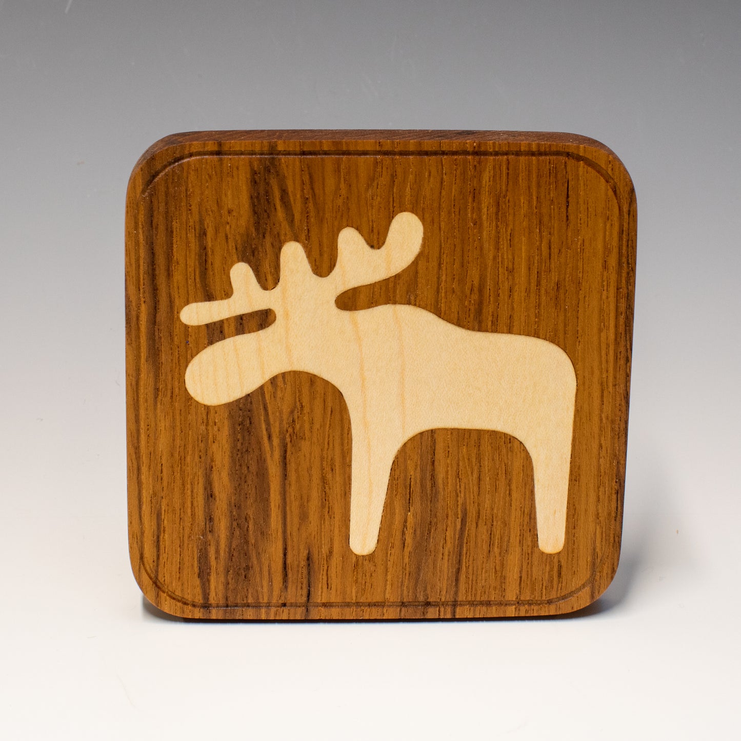 Moose Coaster Set