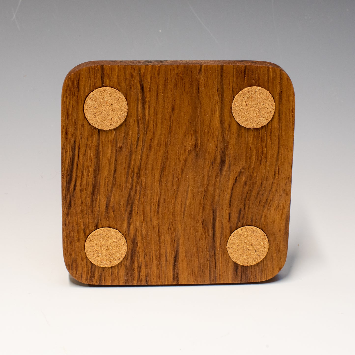 Moose Coaster Set
