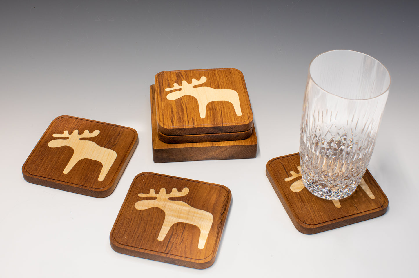 Moose Coaster Set